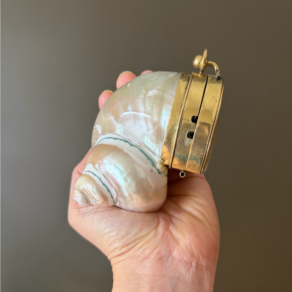 Gold and Cream Shell Clutch - Picture 7 of 16